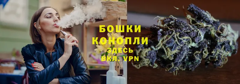 Конопля SATIVA & INDICA  Советск 